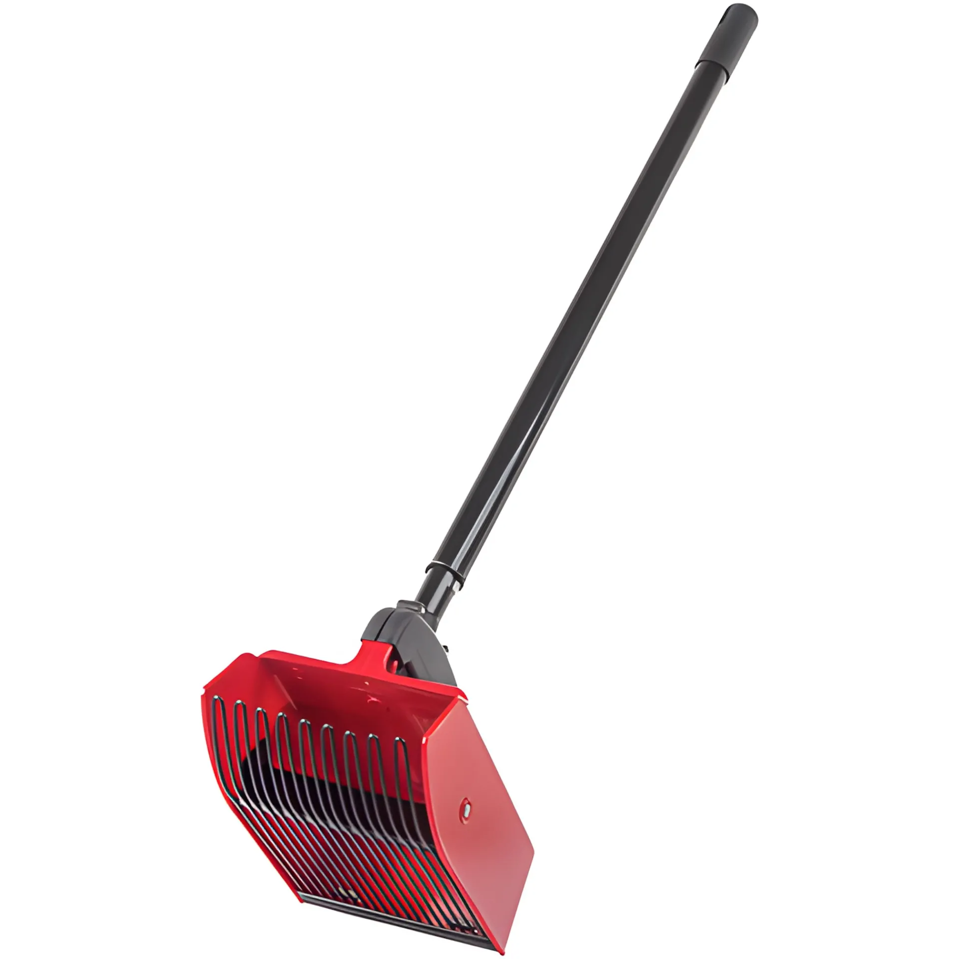 Beerenzeit|Kirschenzeit|Beerenpflücker mit Teleskopstiel