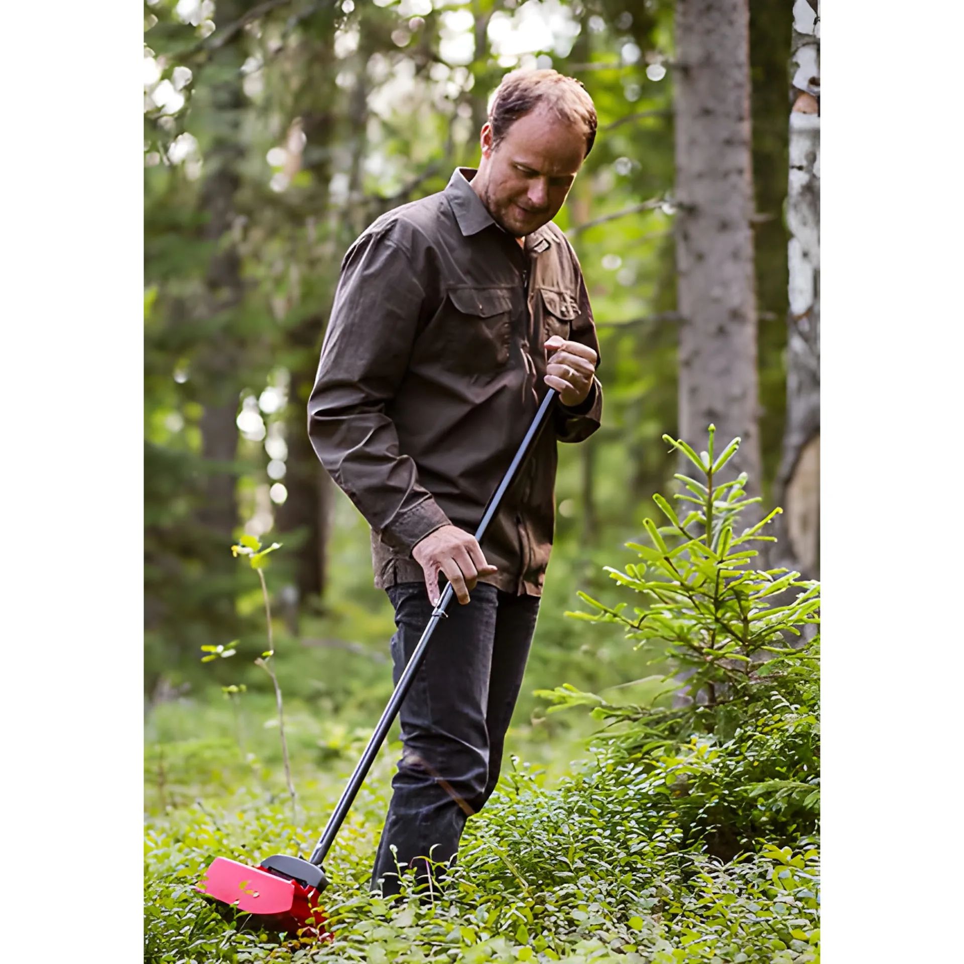 Beerenzeit|Kirschenzeit|Beerenpflücker mit Teleskopstiel