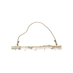 Deko-Anhänger|Besonderes Und Witziges|Birkenast 50 cm mit Kordelhenkel und 5 Haken
