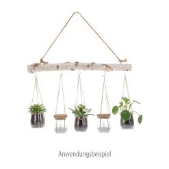 Deko-Anhänger|Besonderes Und Witziges|Birkenast 50 cm mit Kordelhenkel und 5 Haken
