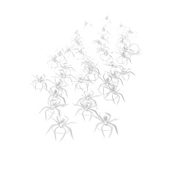 Halloween|Basteln|Deko-Spinnen 3,5 cm, transparent, 40 Stück