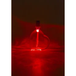 Weihnachtslichter|Gläser- Und Flaschendeko|Flaschenlicht LED mit Fiberglas / Farbwechsel