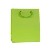 Einfarbiges Zum Basteln|Geschenktüten, -Taschen & Papiertüten|Geschenktüte hellgrün, mittel