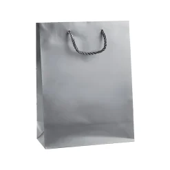 Einfarbiges Zum Basteln|Geschenktüten, -Taschen & Papiertüten|Geschenktüte silber, mittel