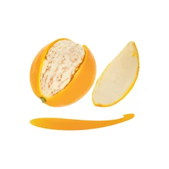 Tescoma Küchenhelfer|Orangenschäler 'Presto'